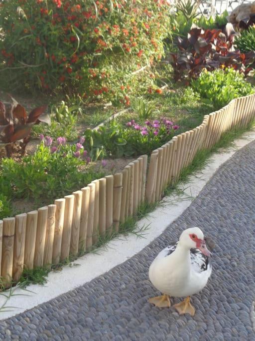 Seashell Apartment Sea View, Castle View 200Metres From The Beach Sitia  Esterno foto