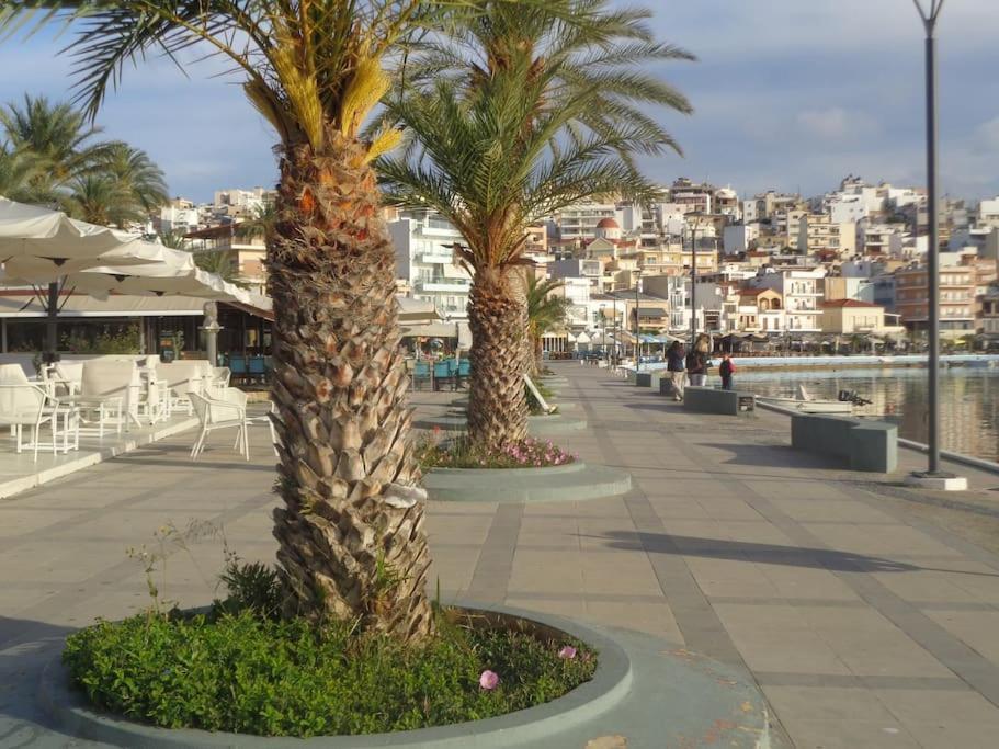 Seashell Apartment Sea View, Castle View 200Metres From The Beach Sitia  Esterno foto